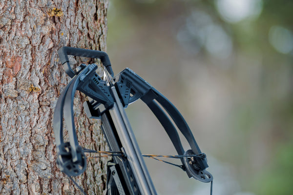 Crossbows